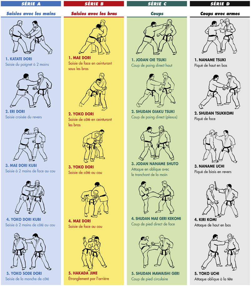 Progression Technique Prises Judo Jujitsu